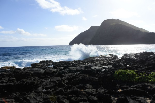 Makapu'u Beach