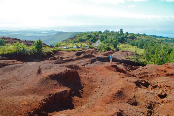 Kauai_7