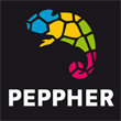 The PEPPHER Project