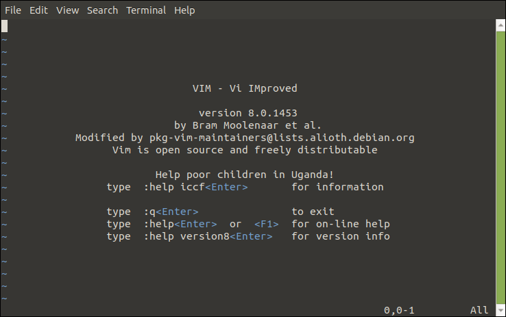 Vim vid uppstart