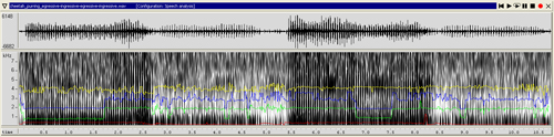 Waveform and spectrogram of purring cheetah