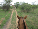 Antelope Park, Zimbabwe, Horse Ride 01
