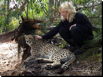 The cheetah Zimbali and Robert Eklund