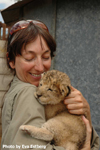 Daniell Cheetah Breeding Lion Cub and Miriam Oldenburg 1