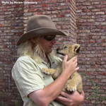 Daniell Cheetah Breeding Lion Cub and Robert Eklund 3