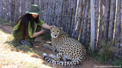 Daniell Cheetah Breeding Cheetah Ola and Miriam Oldenburg 3