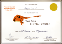 Dell Cheetah Centre diploma