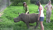 Moholoholo Rhinoceros 02
