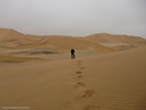 Sand Dunes - Robert Eklund